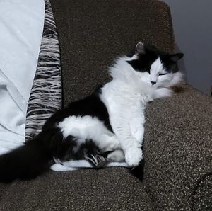 Meet your Posher, Angela